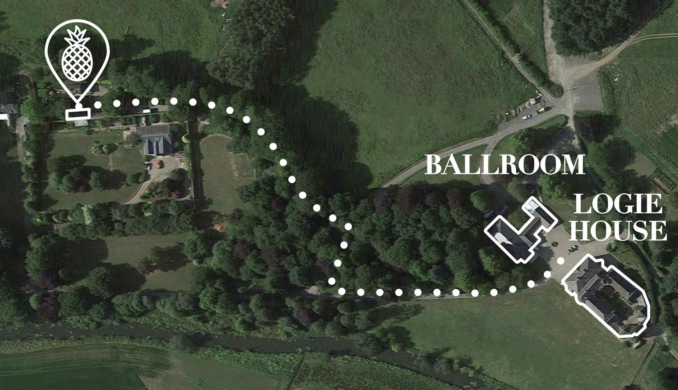 potted-pineapple-directions-map